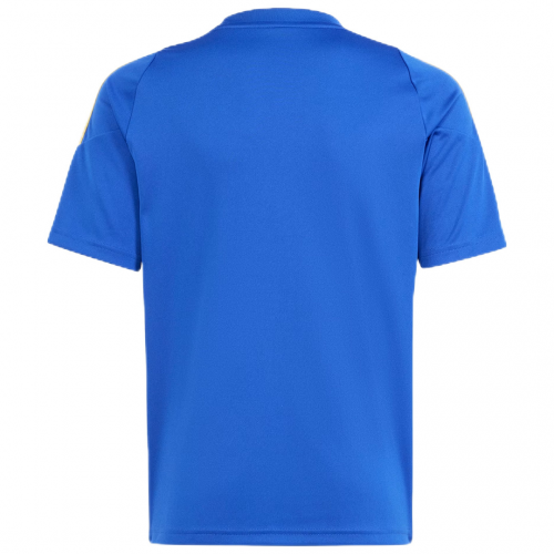 Messi Pitch 2 Street Training Jersey - Blue