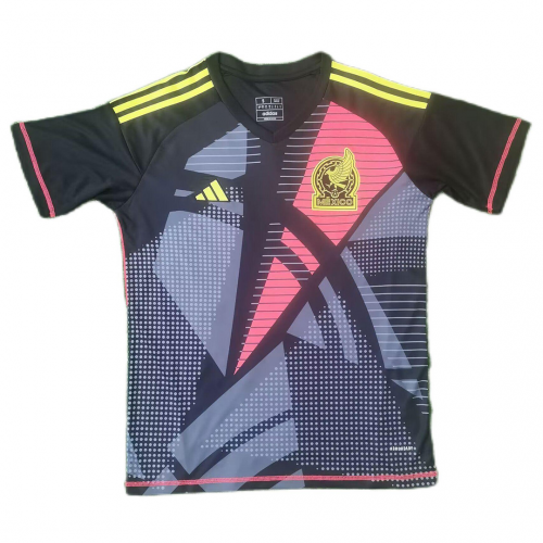 Mexico Goalkeeper Jersey Copa America 2024