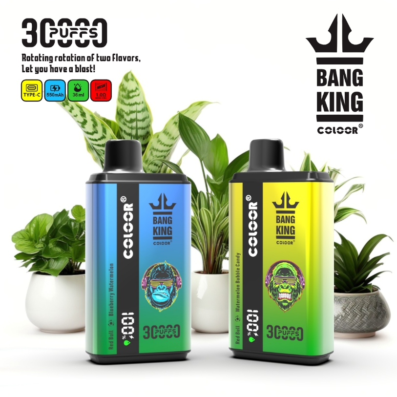 10pcs Bang B2 30K Puffs Disposable Vape